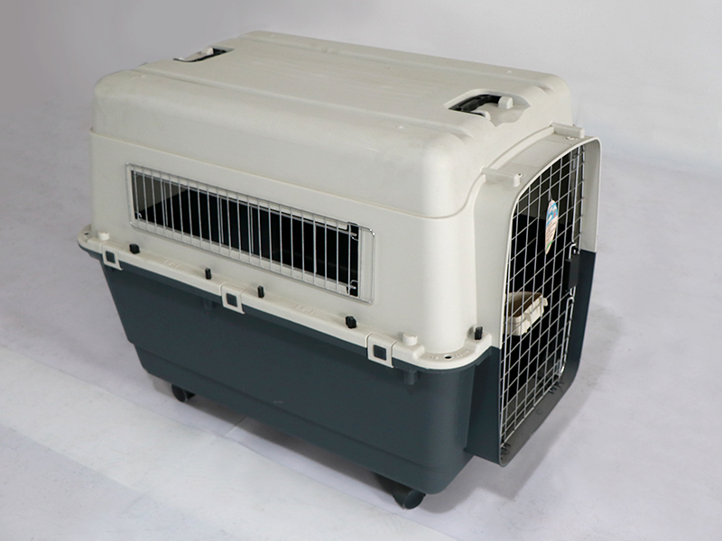 Cage d'aviation 6