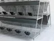 Hot Sale Rabbit House Outdoor Factory Price 3