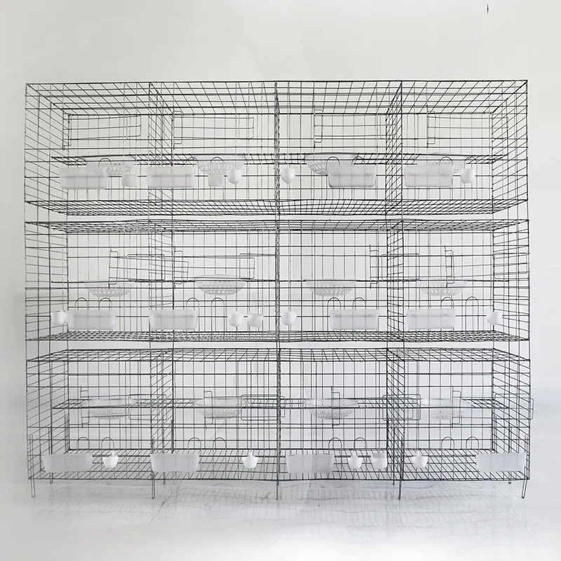 Pigeon Cage Outdoor LFGL50QA3B Made in China 2