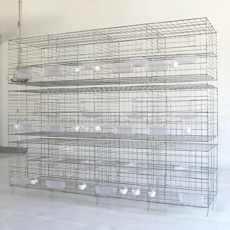 Pigeon Cage Outdoor LFGL50QA3B Made in China 4