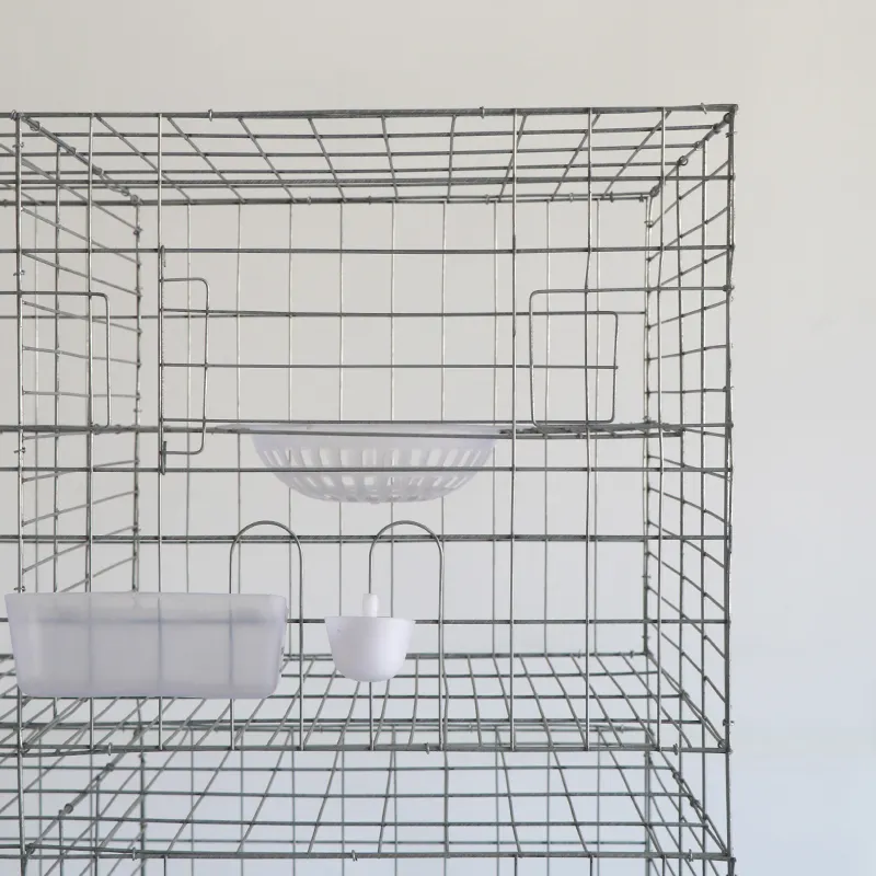 Pigeon Cage Outdoor LFGL50QA3B Made in China 5