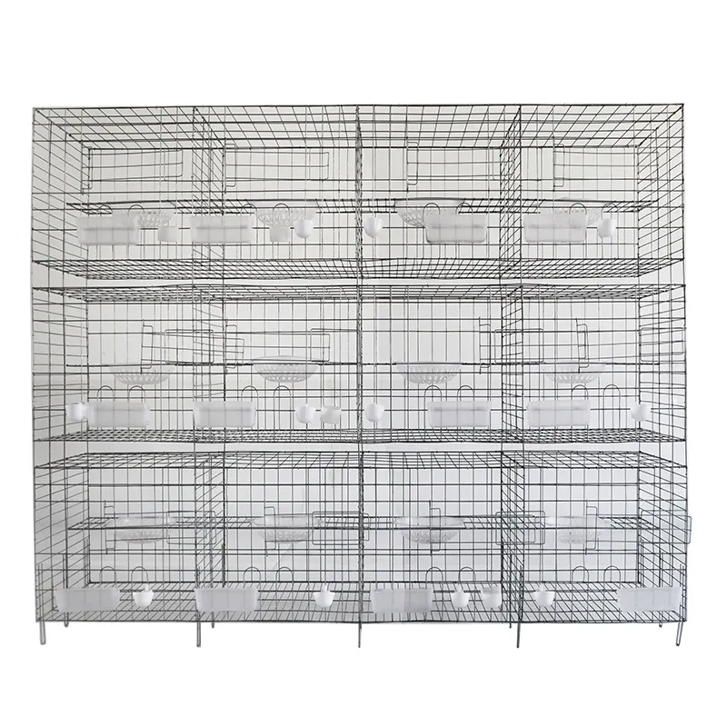 Pigeon Cage Placement: Tips for Optimal Lighting and Airflow 1