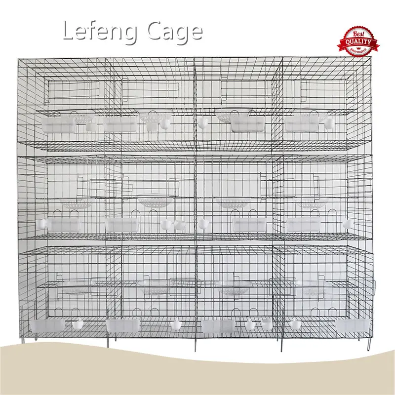 Cost-Effective Pet Pigeon Cage 1