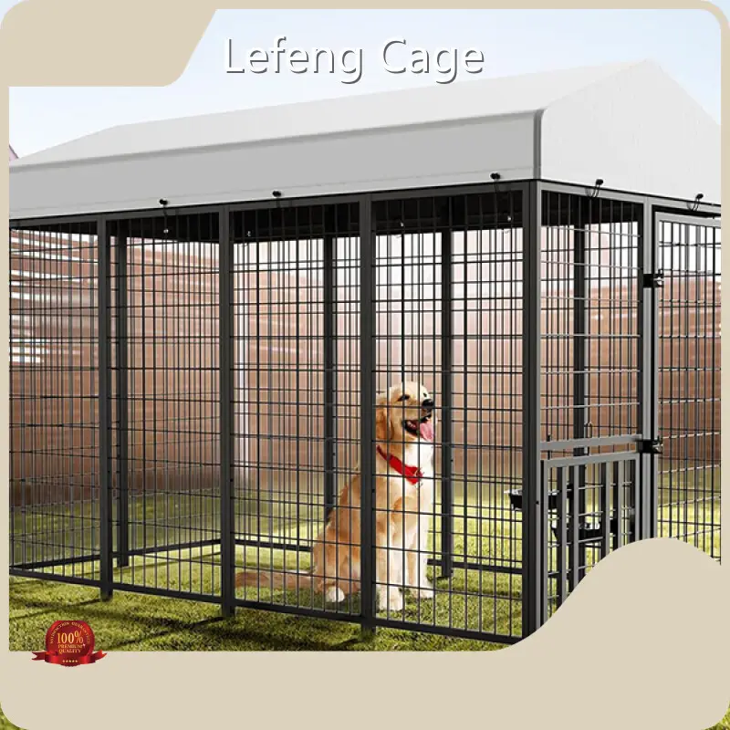 Metal Dog Crate A195 Iron Wire and Galvanized Square Tube; Splicing Assembly;factory Price 1