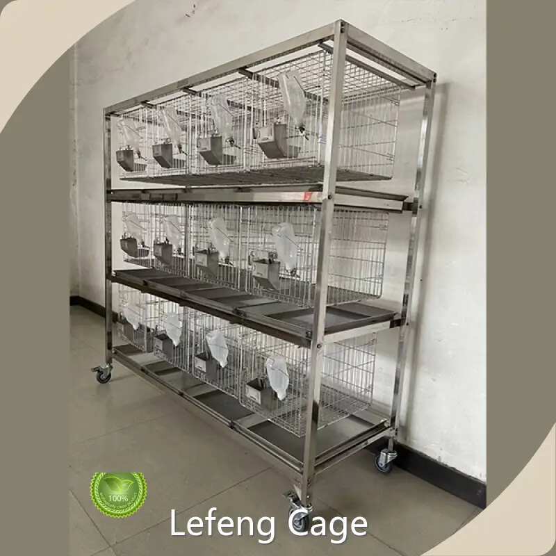 Lefeng Cage Breeding Equipment Breeding Equipmentsupply 1