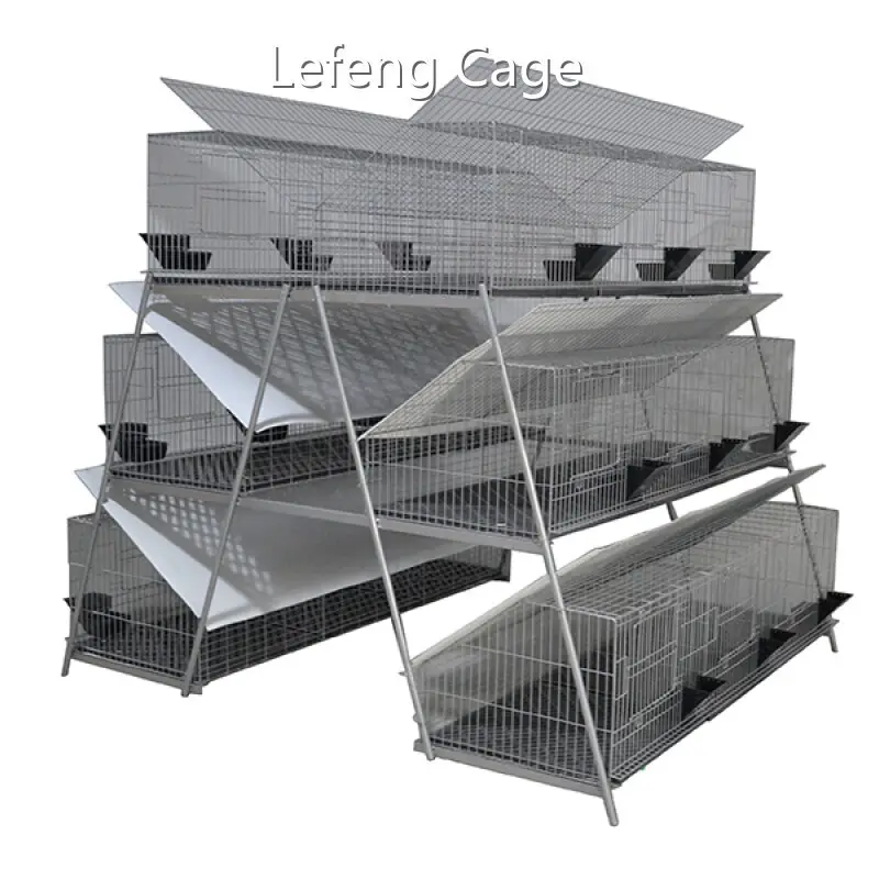 Lefeng Cage Cage Factory Rex Rabbit Cage Factorysupplier 1