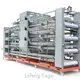 OEM&ODM Outdoor Chicken Hutch 1