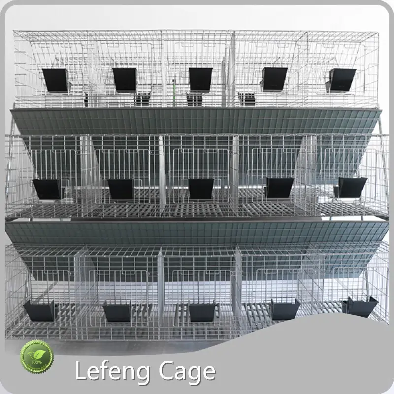Safe to Use Large Rabbit Hutch 1