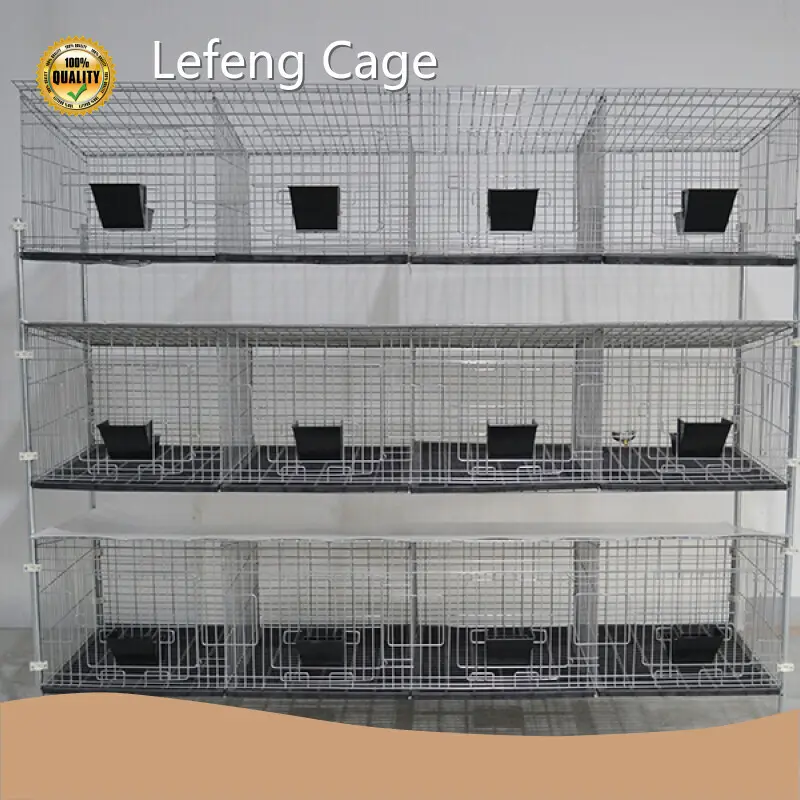 Bird Cage 50cm Wide X 60cm Deep (optional Specifications) by Lefeng Cage 1