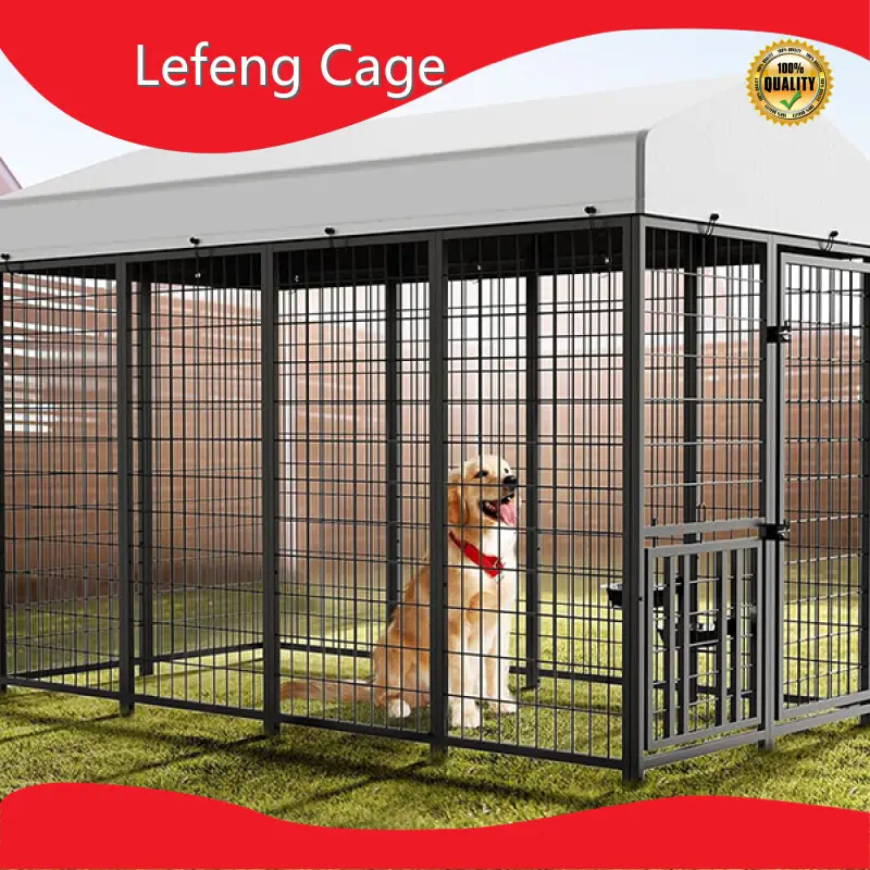 Custom Outside Dog Cage Price List-1 1