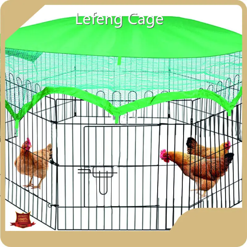 Cost-Effective Outdoor Chicken Hutch Price List 1