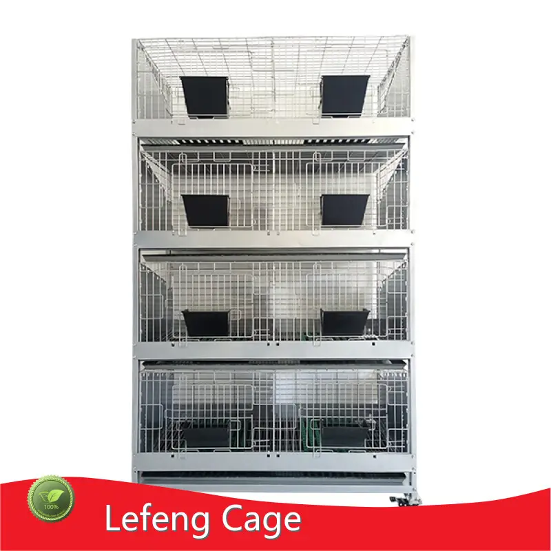 Lefeng Cage Rabbit Cage Suppliers Petrabbit Breeding and Fattening of Meat Rabbit Rabbit Cage Suppliersfactory 1