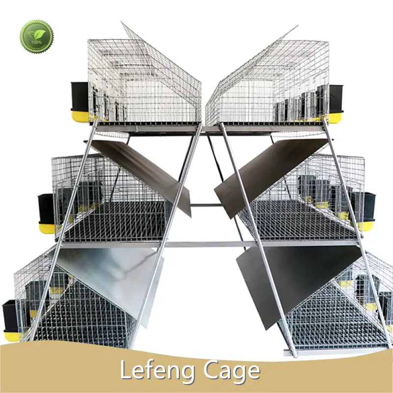 Creative Dog Cage Price List 1