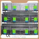 Cages for Bunny Rabbits Factory Price About 120 Kg 1