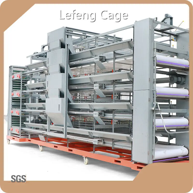 Bunny Breeding Cages 288 Chickens Can Be Raised in the Fourth Layer Cage Length 2412* Width 1200 (excluding Tank and Skip Size) * Height 2276 (excluding Skip Height)from China 1