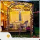 Metal Iron Plant Stand Double Corrugated Cardboard Box by Lefeng Cage 1