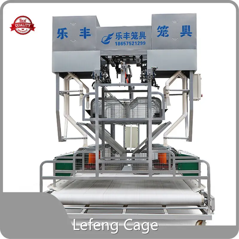 Durablebird Cage 1