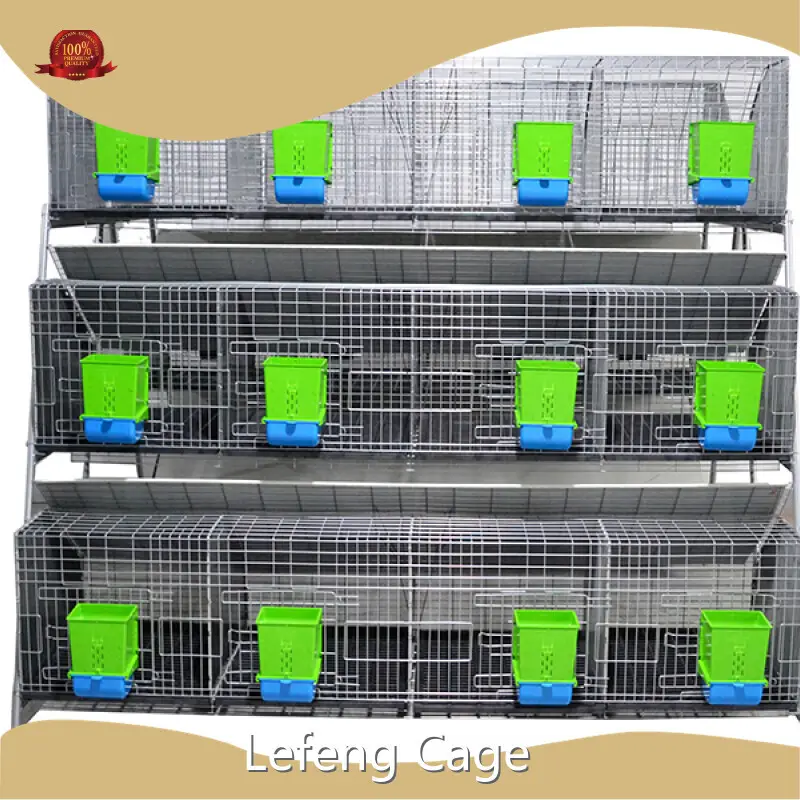 Pet Cage Meat Rabbit Breeding and Larger Size of the Commercial Rabbit Feeding Wholesale - Lefeng Cage 1