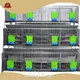 Pet Cage Meat Rabbit Breeding and Larger Size of the Commercial Rabbit Feeding Wholesale - Lefeng Cage 1