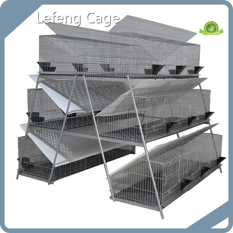OEM&ODM Rabbit Cages Manufacturing 1