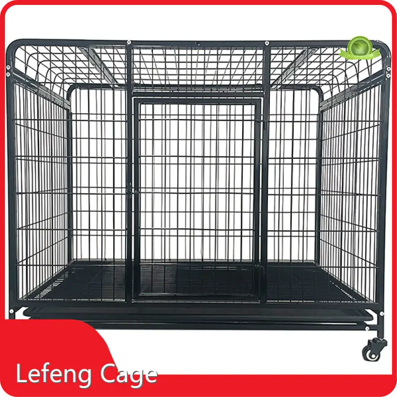 Crate for Dogs Large Plastic Base * 1from China 1