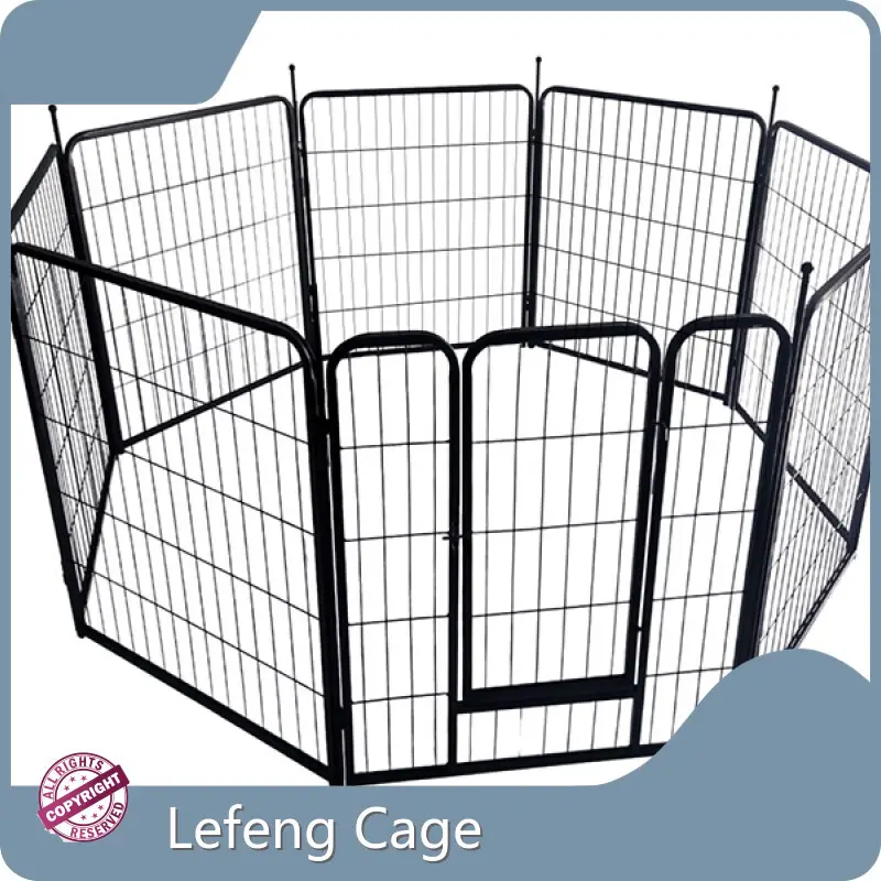 Outdoor Cat Enclosure Electrophoresis; Double Corrugated Cardboard Boxmade in China 1