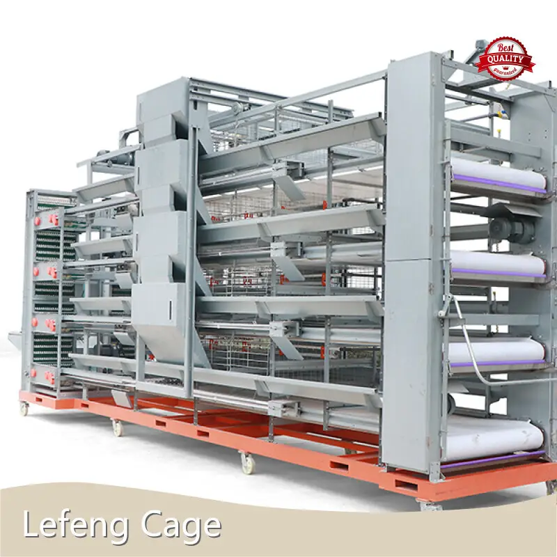 Large Chicken Coops for Sale LFDJLH4B - - Lefeng Cage 1