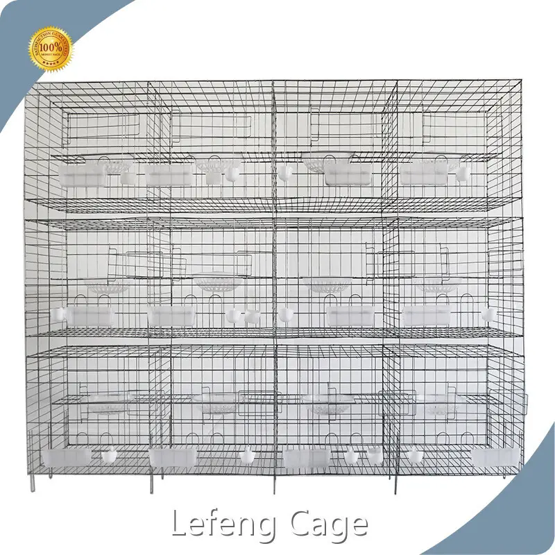 Breeding Cages for Sale LFGL50QA3B by Lefeng Cage 1