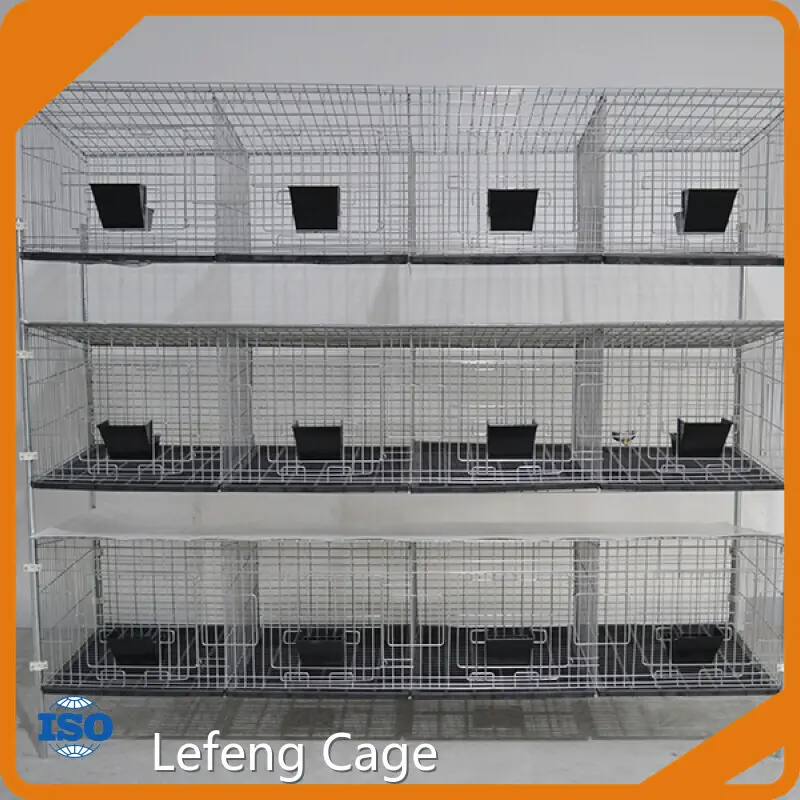 Cost-Effective Outdoor Pet Fence with Good Price 1