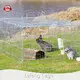 Garden Pet Fence A195;from China 1