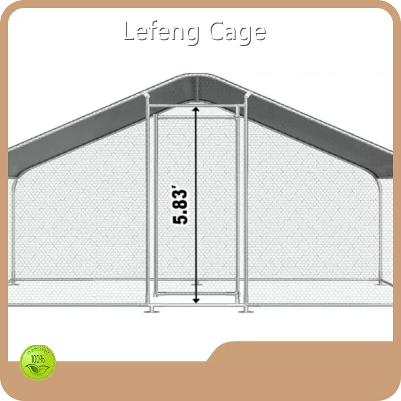 New Outdoor Chicken Cage 1