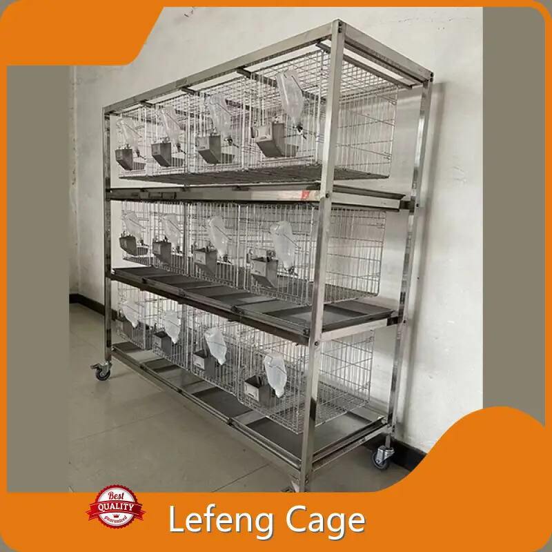 Custom Dog Cage Made in China 1
