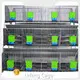 Factory Price Breeding Cage Factory Direct Supply 1