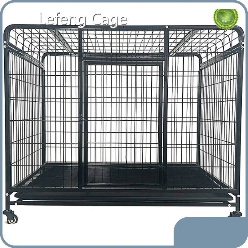 Pigeon Cage Electrophoresis;manufacturer 1