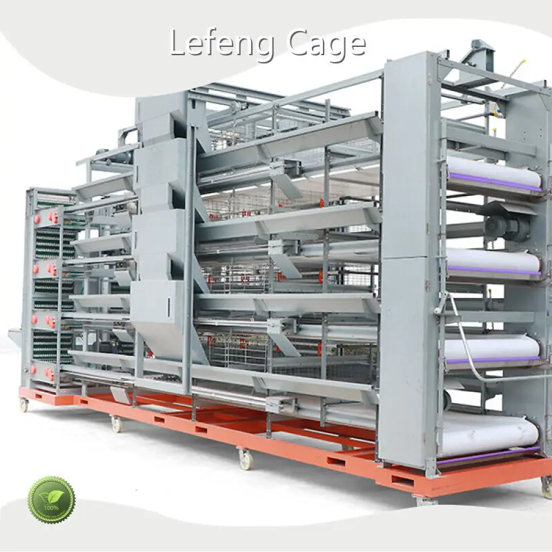 Professional Animal Cage Manufacturer with Good Price 1