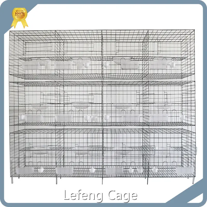 Pigeon Cage LFGL50QA3Bsupplier 1