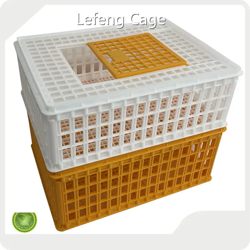 Poultry Cage Wholesale - Lefeng Cage 1