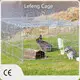 Factory Price Breeding Cage Price List 1