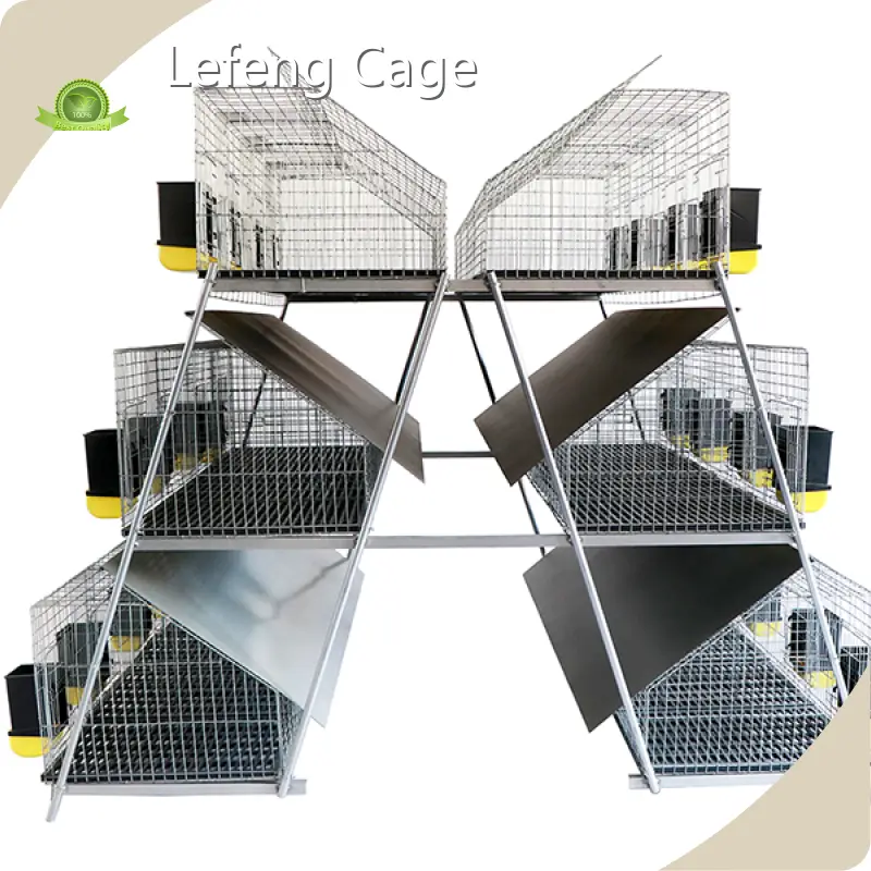 Lefeng Cage Chicken Breeding Cages SPYFTL50QA3Bfactory Price 1