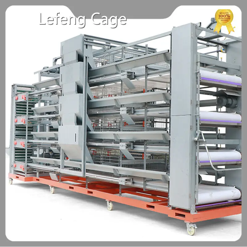 Good Selling Bird Cage Bird Cage Company 1
