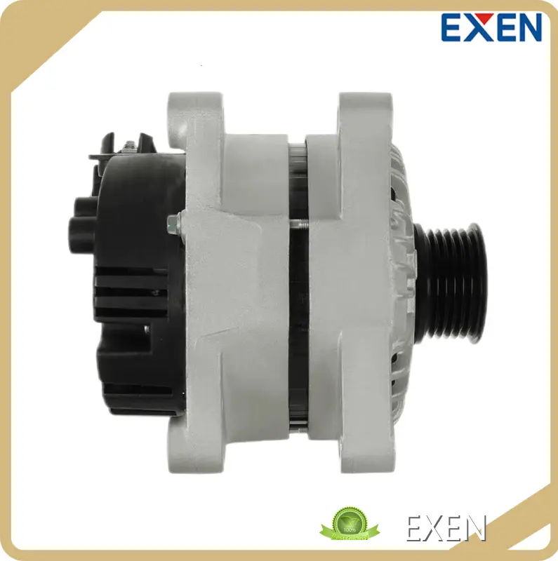 EXEN Best Alternator Manufacturers by Cartonseries 1