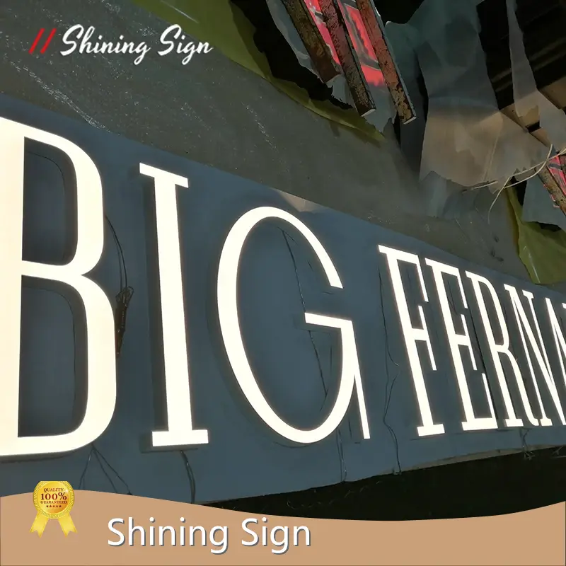 Custom Logo Led Signs LED Strips by Shining Sign 1