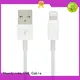 online apple usb cable data series for car 1