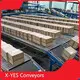 Industrial Roller Conveyor Factory for Pharmaceuticals600/800/1000/1500mm Customized 1