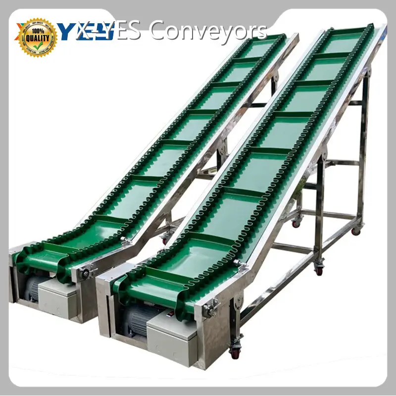 Professional Belt Conveyor Price List 1