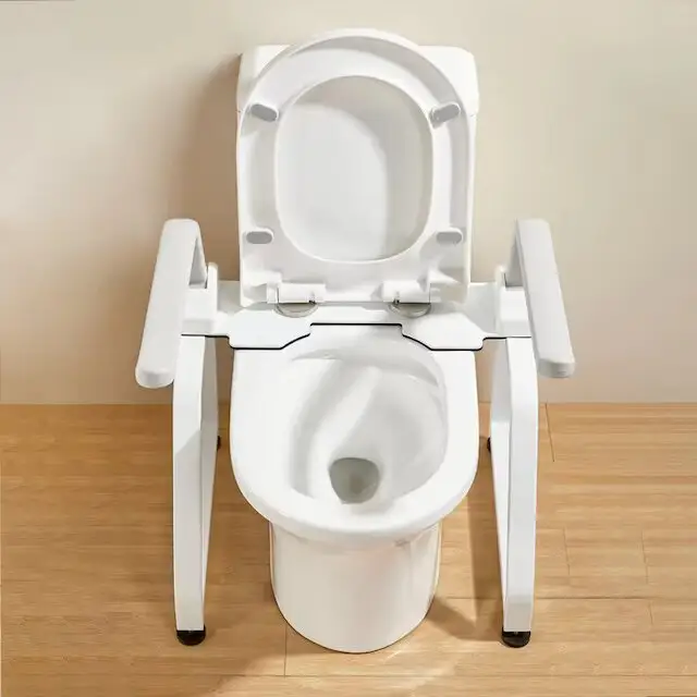 Toilet Safety Rails for Elderly Wholesale - Hosing 4