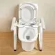 Toilet Safety Rails for Elderly Wholesale - Hosing 4