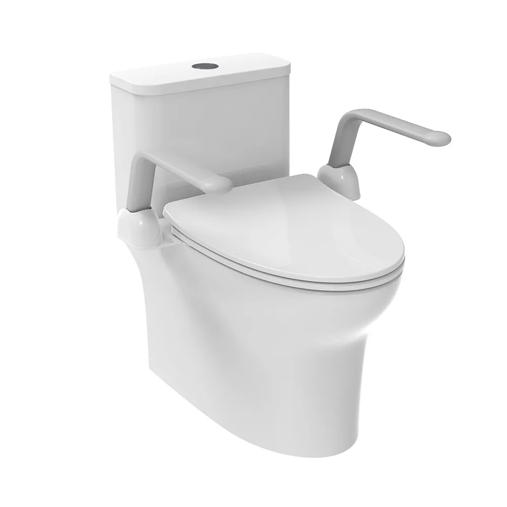 Revamp Your Toilet Setup with these Practical and Stylish Toilet Rails 1