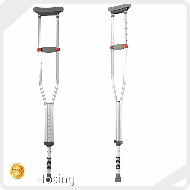 Lightweight Walking Stick - - Hosing 1