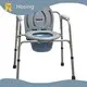 Commode Chair Wholesale - Hosing 1